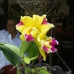 Ada Quintero Rojas - @adaquinterorojas - Instagram