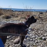Ada Falck Rasmussen - @adafalck - Instagram