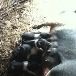 @_adam_ratliff_ - Instagram