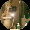 ADARAY - @adaray98 - TikTok