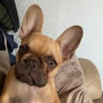 Ada Rose 🌹 - @ada_rose_bud - Instagram