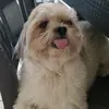 Ada Silva888 - @adasilva888 - TikTok