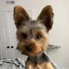 Ada Silva - @ada.silva1 - TikTok