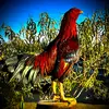 Adam Solano - @adam.solano - TikTok