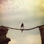 Ada soler - @fpaz222 - Instagram