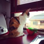 Ada Soler - @pensar_con_las_manos_scrapada - Instagram