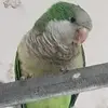Adai - @adasosa0215 - TikTok