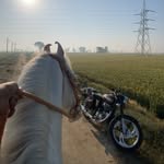 ਅੜਬ STALLIONZ - @adab_stallionz - Instagram