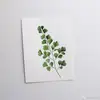 Ada Steele - @adasteele0 - TikTok