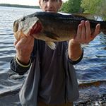 Adam Strickland - @adamstrickland33 - Instagram