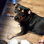 Kent Strickland - @adamstrickland25 - Instagram