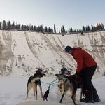 Adam Strong - @adam.strongg - Instagram