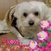 Ada Sze - Facebook
