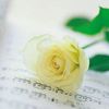 Ada Sze - @2168598874 - TikTok