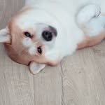 Ada Tang - @adao_o - Instagram