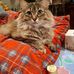 Ada Tang - Facebook