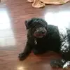 ada_tavarez - @ada_tavarez24 - TikTok