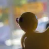 Adal Experimentación - @adal.test - TikTok