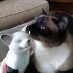 Ada Thompson - @raineycat1 - Instagram
