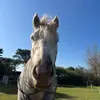 🤍 - @ada.torode.othermain - TikTok