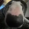 ADALIA_townsend - @adalia_townsend - TikTok