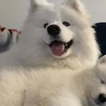 ada trần 🀥 - @a.trvnn - Instagram