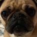Adam Travis Grant - Facebook