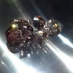Ada Tso - @tsoada - Instagram