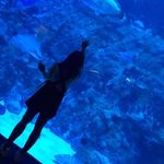 Ada Tsoi - @dada_1216 - Instagram