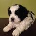Ada Tucker - Facebook