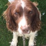 Adam Tucker - @adam_tucker___ - Instagram