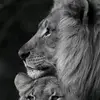 Adatuzlu - @adatuzlu - TikTok