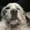 Saltyadatuz - @saltyadatuz - TikTok