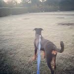 Ada Burgoa - @adaburgoa - Instagram