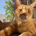Adan Burgos - @adan_burgos04 - Instagram