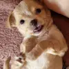 Ada Cecilia Valdivia Arenas - @ada.cecilia.valdi - TikTok
