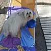 Ada Valdivia - @ada.valdivia1 - TikTok