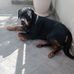Ada Valente - Facebook