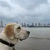 Adam Zhou - @adamzhoudd - TikTok