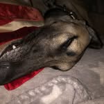 Dainton Adair King - @djadairking - Instagram