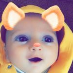 Adam Allan - @adamallan2001 - Instagram