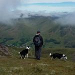 Adam Allan - @adamallan2 - Instagram