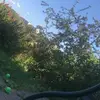 Adam Aandersson - @adamaandersson - TikTok