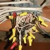 Adam Applegate - @adam.applegate - TikTok