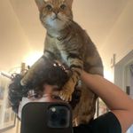 adam - @adamarbour_ - Instagram