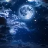 Adammoonnn - @adamarcane03 - TikTok