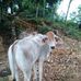 Adam Arcos - Facebook