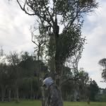 Adam Ardiansyah - @adamardysh - Instagram