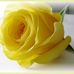 Arafa Adam - Facebook