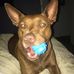 Adam Argento - Facebook